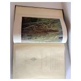 Bird Homes by A. Radclyffe Dugmore (1909) - Nests, Eggs & Breeding Habits