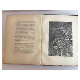 Bird Homes by A. Radclyffe Dugmore (1909) - Nests, Eggs & Breeding Habits