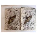 Moths of the Limberlost - Gene Stratton-Porter, 1912, Doubleday, Page & Company