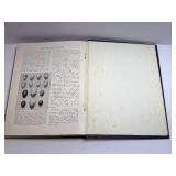 The Science of Life - Vintage Blue Cloth Hardcover by H.G. Wells, Julian Huxley & G.P. Wells