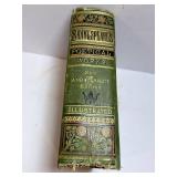 Shakespeare: The Works Illustrated, New & Complete Edition - Life & Preface by George Long Duyckinck