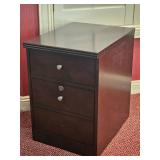 Contemporary Low Office Filing Cabinet