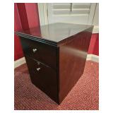 Contemporary Low Office Filing Cabinet