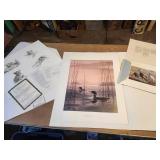 Never Hung Collection of Wildlife Prints - With Paperwork