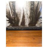 Red Bowl and Whoopie Cushion