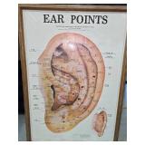 Ear Points Framed Poster