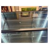 Glass Display Cabinet with LED Lighting and Locking Back Panel, 48in x 18in x 38in