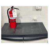 Plastic Storage Cabinet with Shelf, 48in Tall inc fire extinguisher