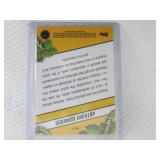 2025 Chrome Anthony Edwards Card...