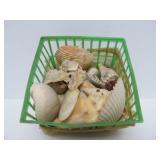 Estate Lot of Polished & Unpolished Stones Agates Quartz Crystal Shells etc