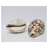 Estate Lot of Polished & Unpolished Stones Agates Quartz Crystal Shells etc