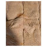 Sagaz Genuine Sheepskin Wool Car Seat Covers Set