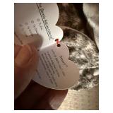 Ty Beanie Babies Graduation Owls Collection - Plush Owls with Caps & Tags