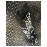 Harley-Davidson Belt Buckle Set - Rhinestone Shield Buckle, HD Letters & Bandana