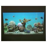 ViewSonic PJD5155 LightStream 3300-Lumen SVGA 3D DLP Projector