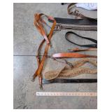 Collection of Leather Horse Tack and Western Belts