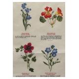 FR - Vintage Trädgårdsblommor Framed Botanical Chart FR - Vintage Trädgårdsblommor Framed Botanical Chart
