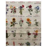 FR - Vintage Trädgårdsblommor Framed Botanical Chart FR - Vintage Trädgårdsblommor Framed Botanical Chart