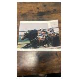 horse racing training photograph