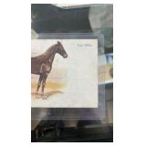 lot of horse related post cards