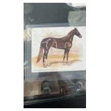 lot of horse related post cards
