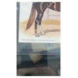 lot of horse related post cards