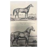 vintage horse racing collectible lot