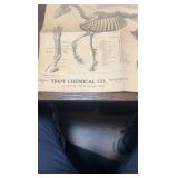 antique horse related advertisement