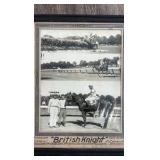 1946 British knight horse racing photo