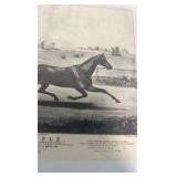 vintage horse racing collectible lot