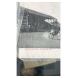 lot of horse related post cards