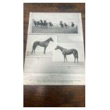 vintage horse racing collectible lot