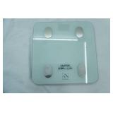 Digital Glass Scale. Fitindex.