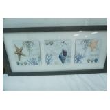 Painted Arrow on Wood Coat Rack, Seashell Wall Decor