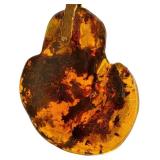 Paola Scarpa Baltic Amber Necklace - 18k Gold, Venice 1985, Heart Pendant