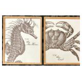 Sea Horse Specimen No. 1749 & Crab Specimen No. 1005 - Framed Prints