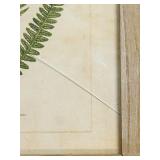 Framed Fern Print - 11 x 12 in - Botanical Wall Art