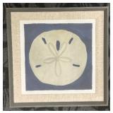 Framed Sand Dollar Wall Art - 23 x 23 in - Gray Frame, Beige Mat