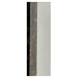 Framed Bird Illustration Print & 23 x 23 in Frame - Slight Frame Damage