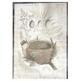Amazing Textured Art - Nest Egg Botanical - 37 x 55 in