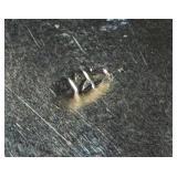 Sterling Silver Butterfly Brooch - Vintage