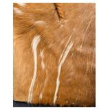 Vintage Cowhide Tote Bag