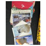 Assorted Blank Greeting Cards in Mall of America Gift Bag