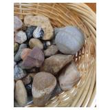 Basket of Cool Rocks, Fossils, and Unknown Specials