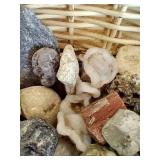 Basket of Cool Rocks, Fossils, and Unknown Specials
