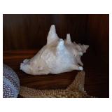 Lot of Beautiful, Large Seashells and Glass Dish of Tiny Seashells