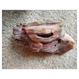 (2) Pieces of Petrified Wood