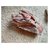 (2) Pieces of Petrified Wood