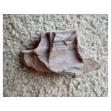 (2) Pieces of Petrified Wood