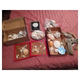 Lot of Seashells and Driftwood
